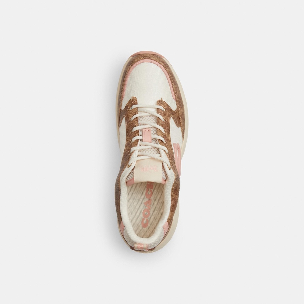Strider Sneaker In Signature Canvas - Picture 6 of 10